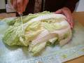 Chinese cabbage chopping_2